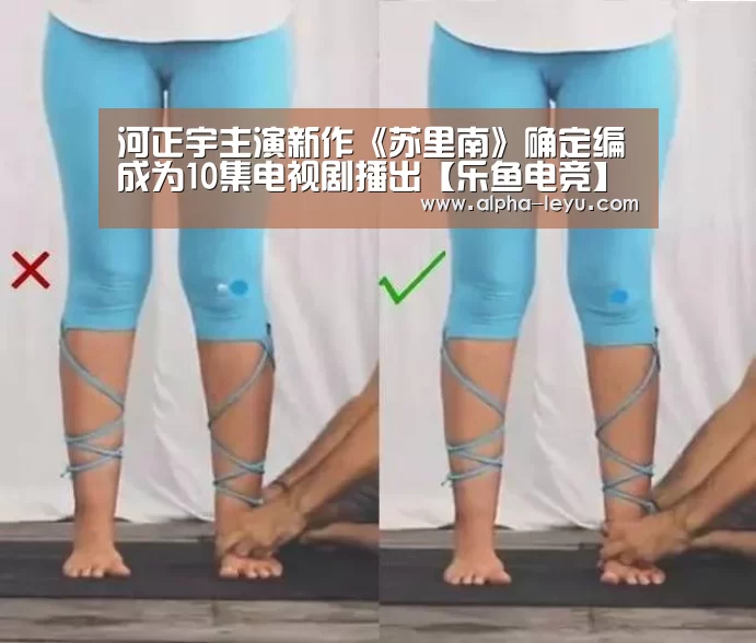 乐鱼电竞