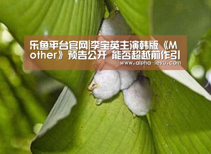 乐鱼
