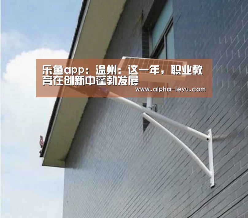 乐鱼
